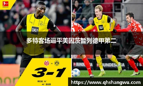 多特客场逼平美因茨暂列德甲第二